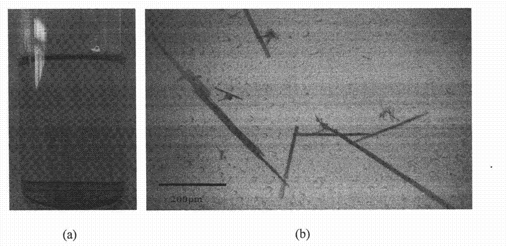 Method for preparing fullerene nano micron material loaded with transition metal and product of fullerene nano micron material