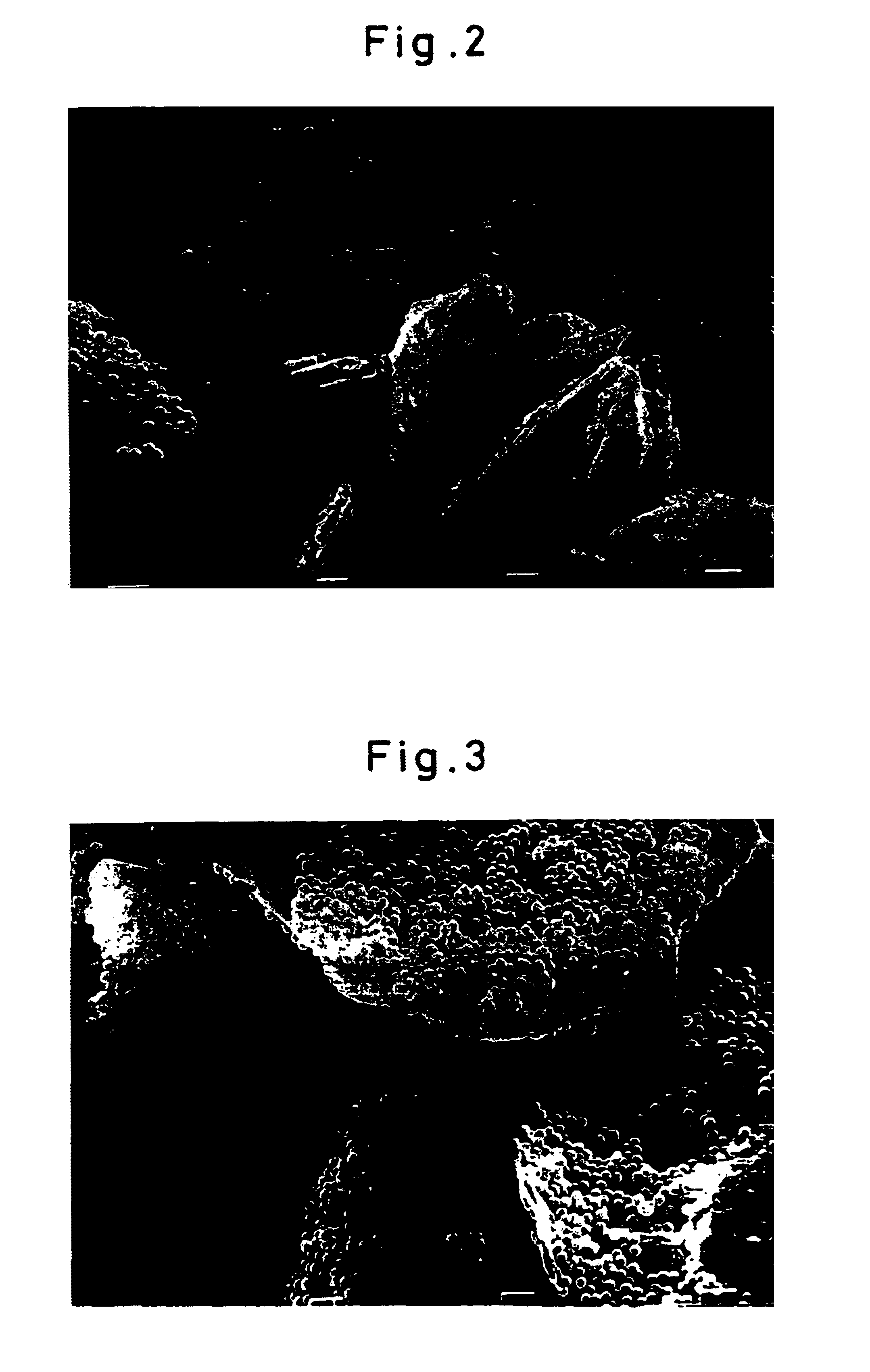 Flaky fine powder, production thereof, and cosmetic