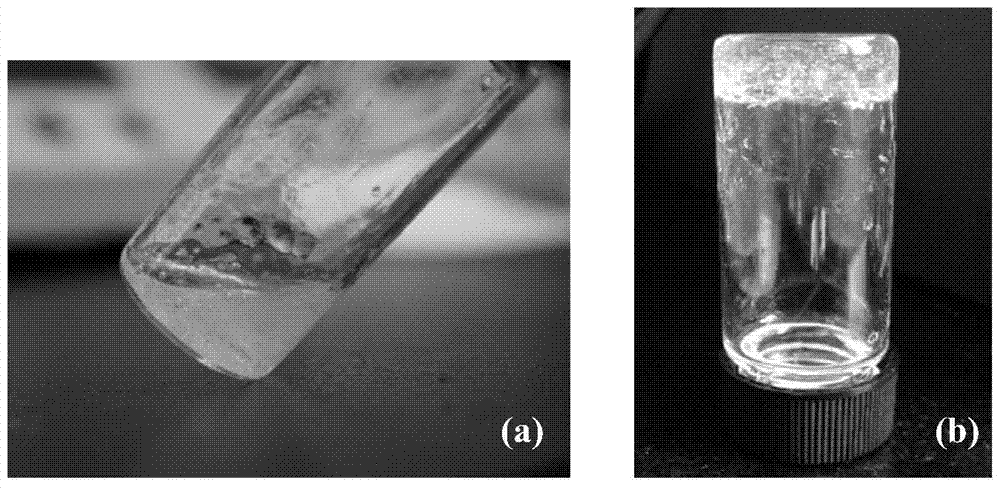 A kind of natural polysaccharide-based hydrogel and its preparation and application in eye conjunctival repair