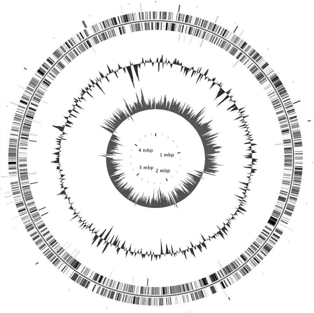 Defective mycobacterium and method for preparation of dehydroepiandrosterone from the same