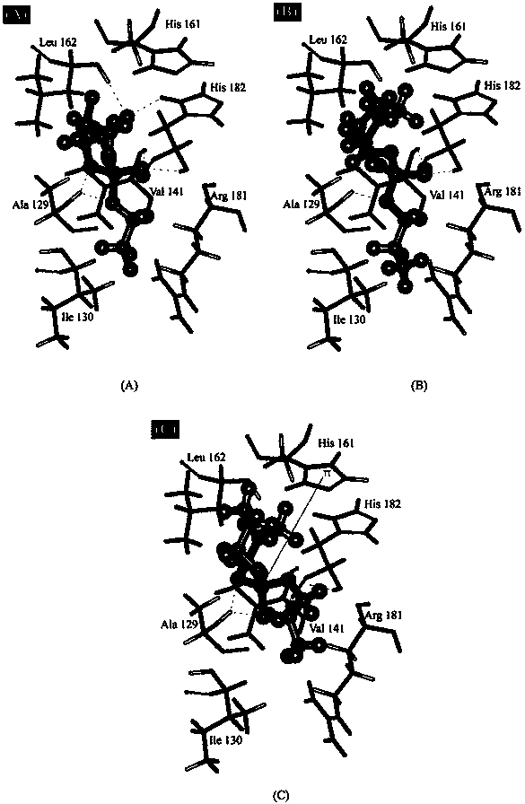 Method for predicting affinity of interaction between biomarker p53 and organic phosphate fire retardant