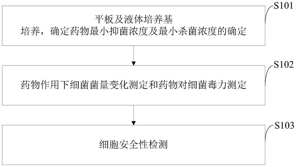 Application of dodecylmethylaminoethyl methacrylate (DMAMA) in preparation of medicine for inhibiting helicobacter pylori in oral cavity and stomach