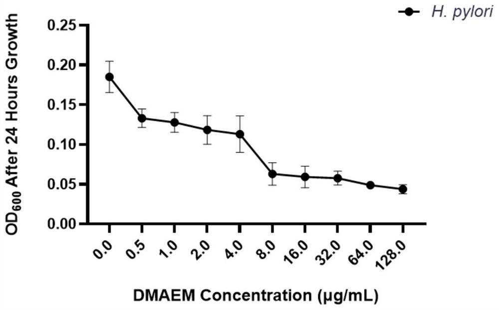 Application of dodecylmethylaminoethyl methacrylate (DMAMA) in preparation of medicine for inhibiting helicobacter pylori in oral cavity and stomach