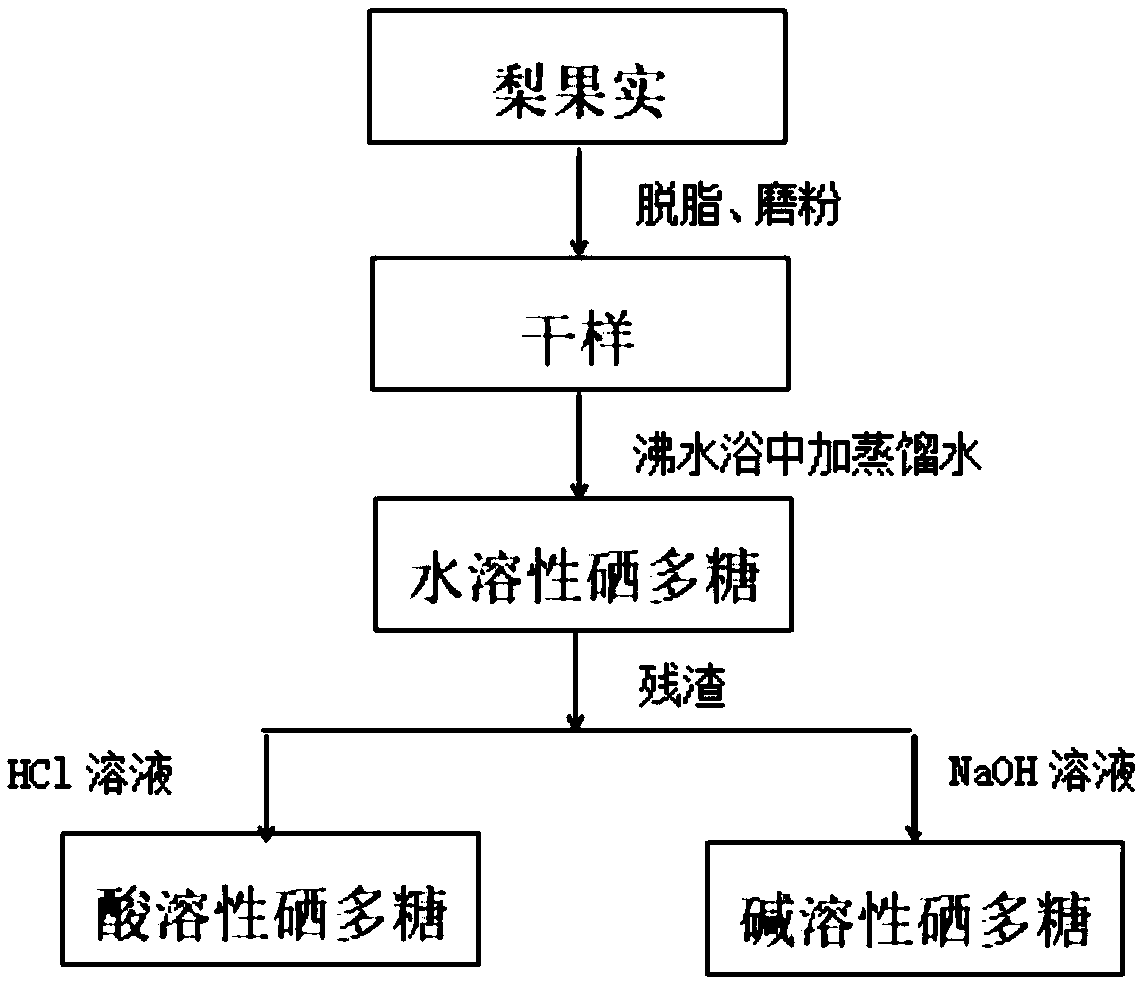 Extraction method of selenium polysaccharide from pear pulp