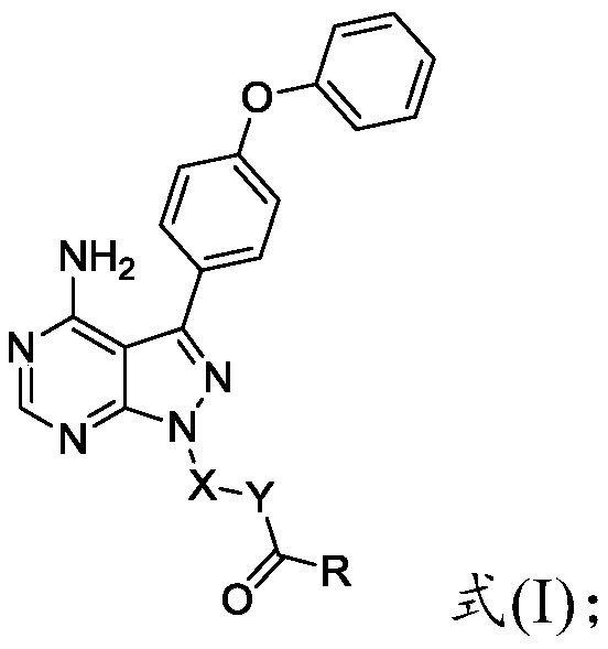 Preparation method and applications of 4-phenoxy phenyl pyrazolopyrimidine amide derivative