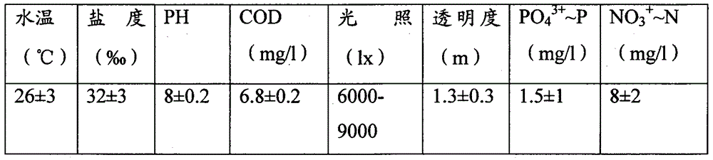 Artificial ecological culturing method for caulerpa lentillifera