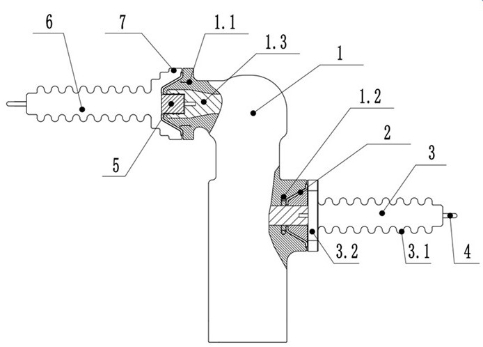 A railway switch pole withstand voltage detection tool