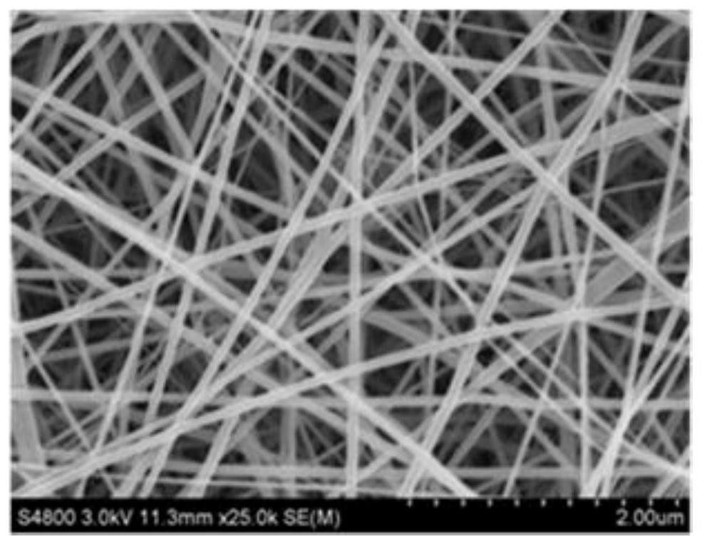 A kind of transparent pm2.5 filter film with photocatalysis and preparation method thereof