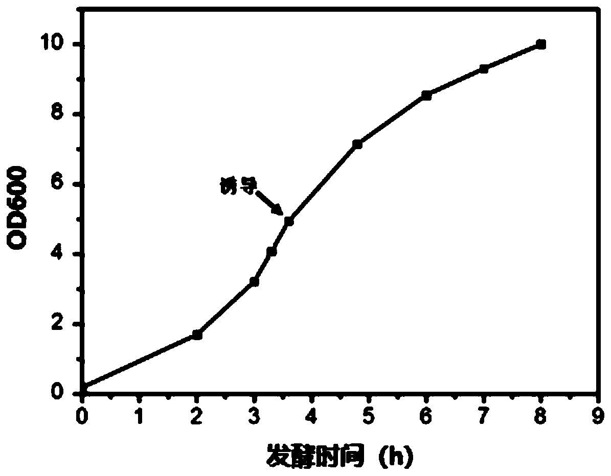 Recombinant virus-like particle expressed based on inclusion body form, preparation method and application thereof