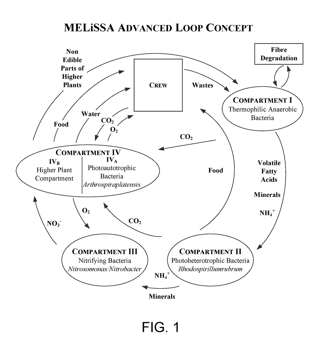 Microorganism cultivation platform for human life support