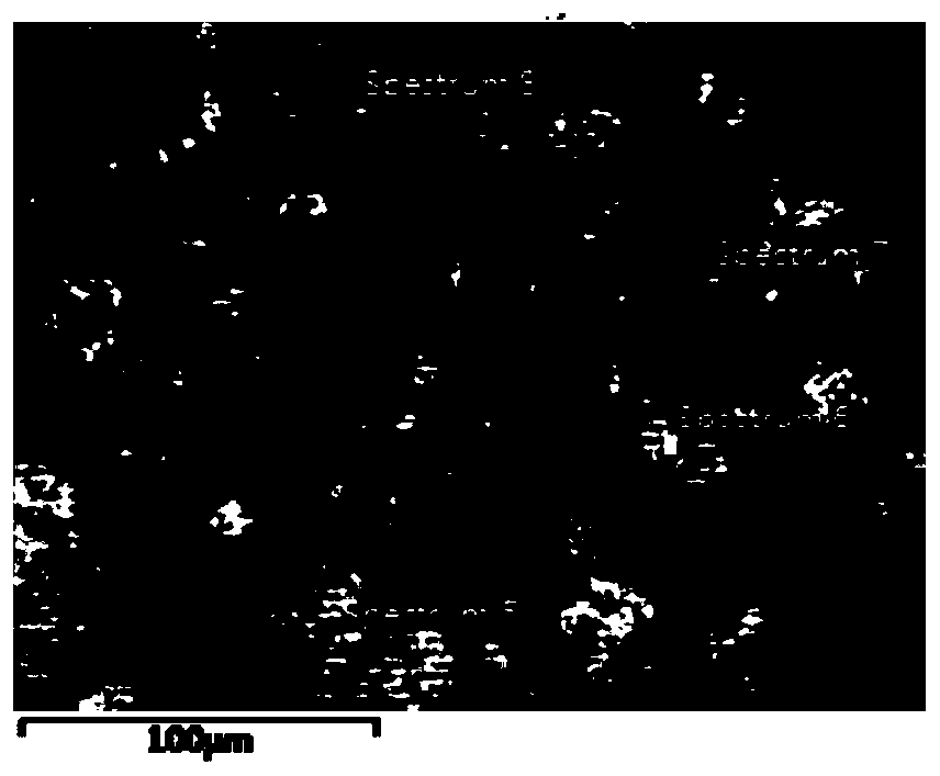 Lithium ion battery, lithium ion battery negative electrode material and preparation method thereof