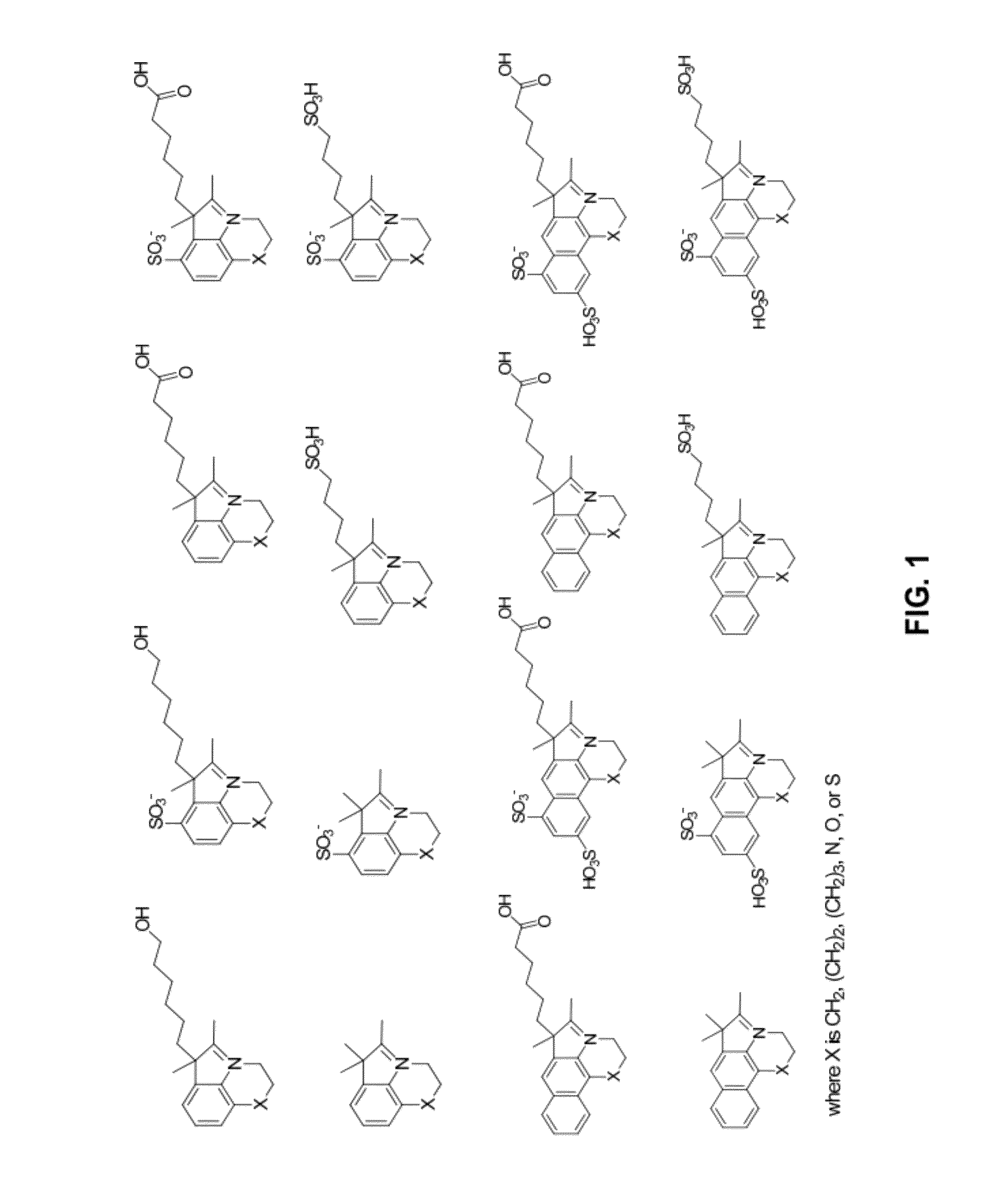 Reactive cyanine compounds