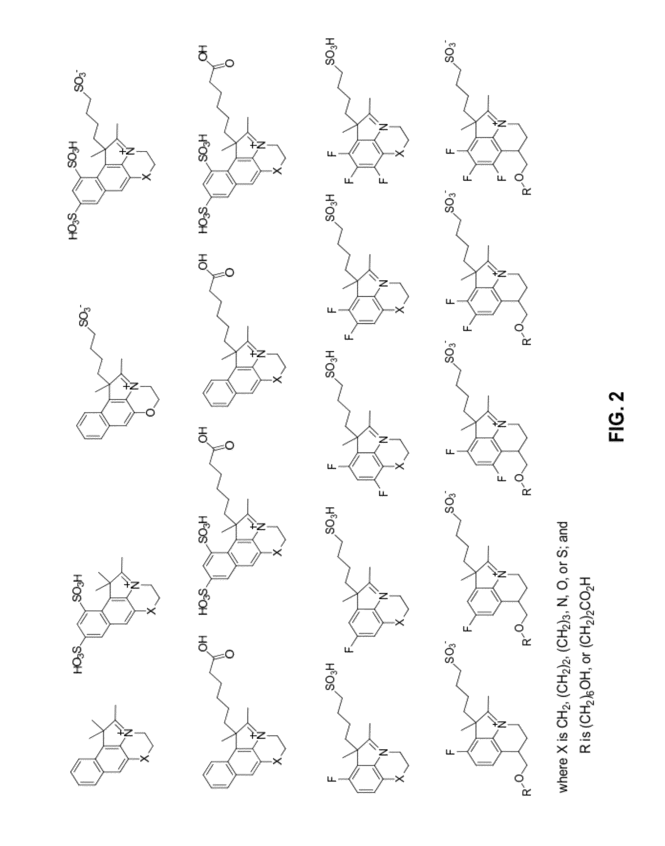 Reactive cyanine compounds