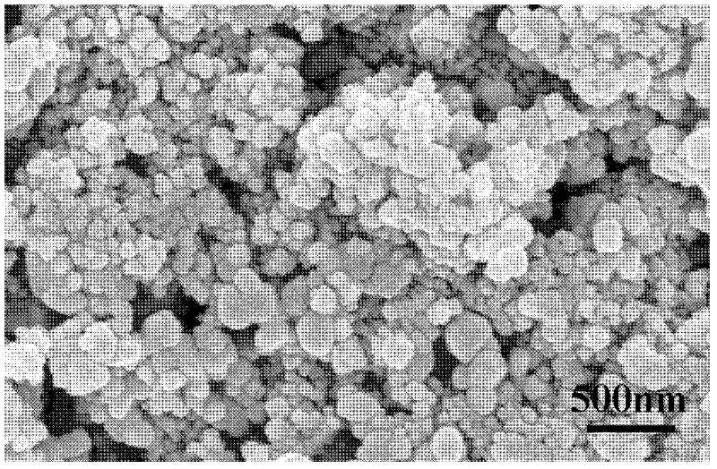 Method for preparing corrosion-resisting and self-cleaning coating