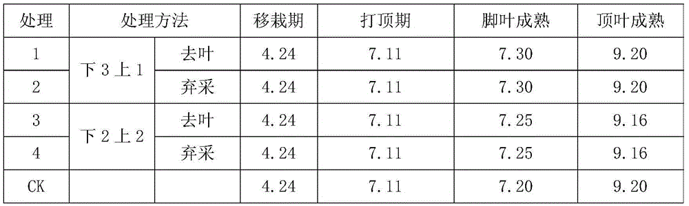 Control method for improving finished product tobacco leaf quality based on leaf position characteristics