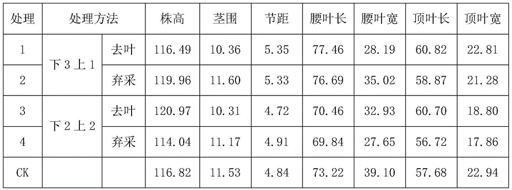 Control method for improving finished product tobacco leaf quality based on leaf position characteristics