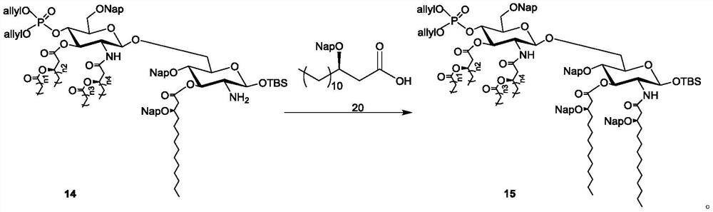 Intermediate, synthesis and application of vaccine adjuvant MPLA