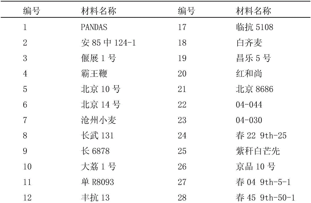 Molecular marker TaSnRK2.3B related with thousand seed weight of wheat and content of soluble sugar in wheat straw and application of molecular marker TaSnRK2.3B