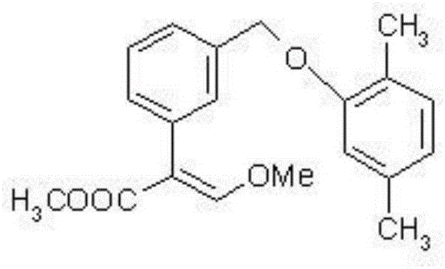 Fungicidal composition