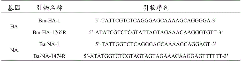 Recombinant canine influenza virus strain, its preparation method and vaccine prepared therefrom