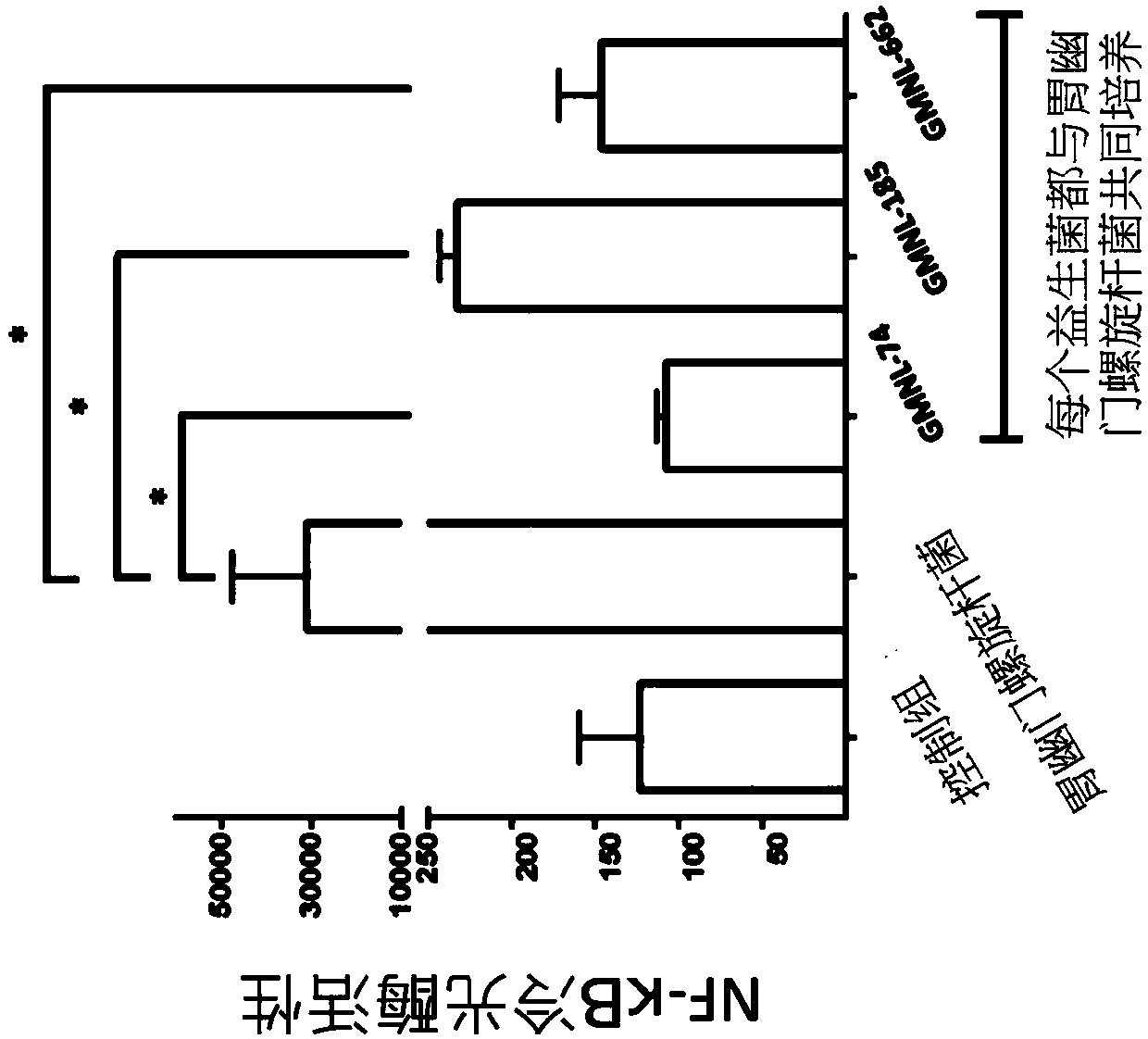 Lactobacillus composition for inhibiting gastritis caused by helicobacter pylori in stomach and application thereof