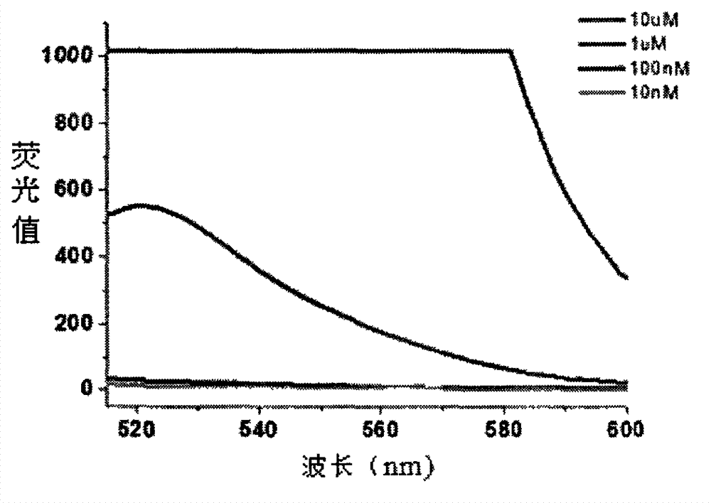 Mercury ion fluorescence detection method and kit