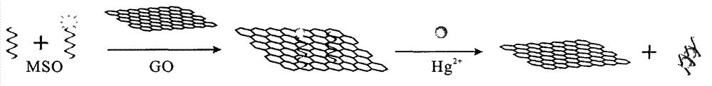 Mercury ion fluorescence detection method and kit