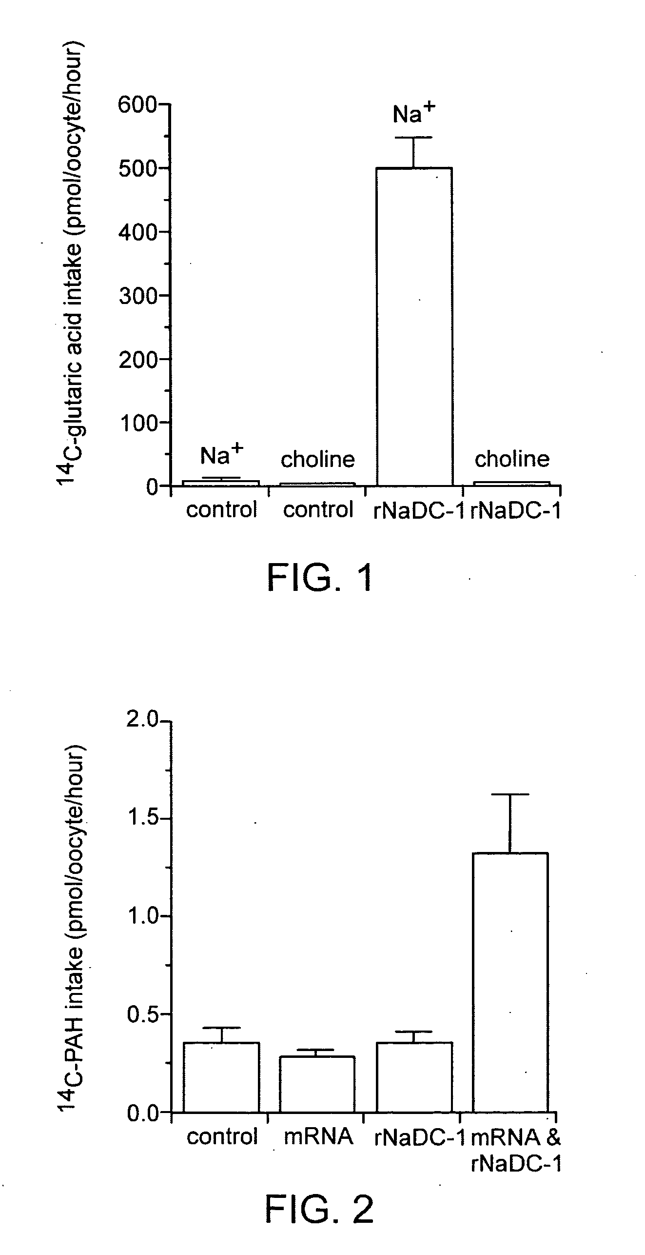 Organic anion transporter and gene coding for the same