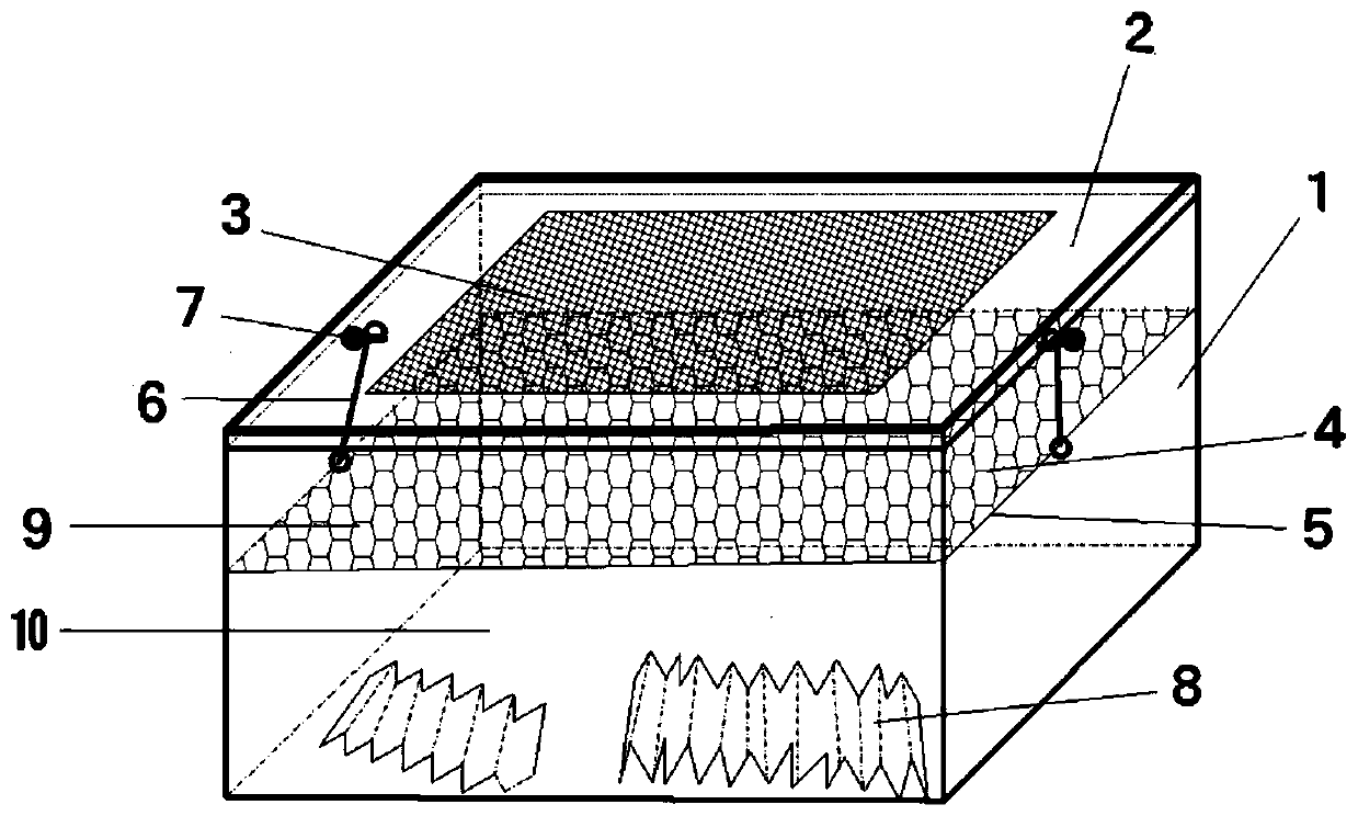 Insect breeding device and breeding method