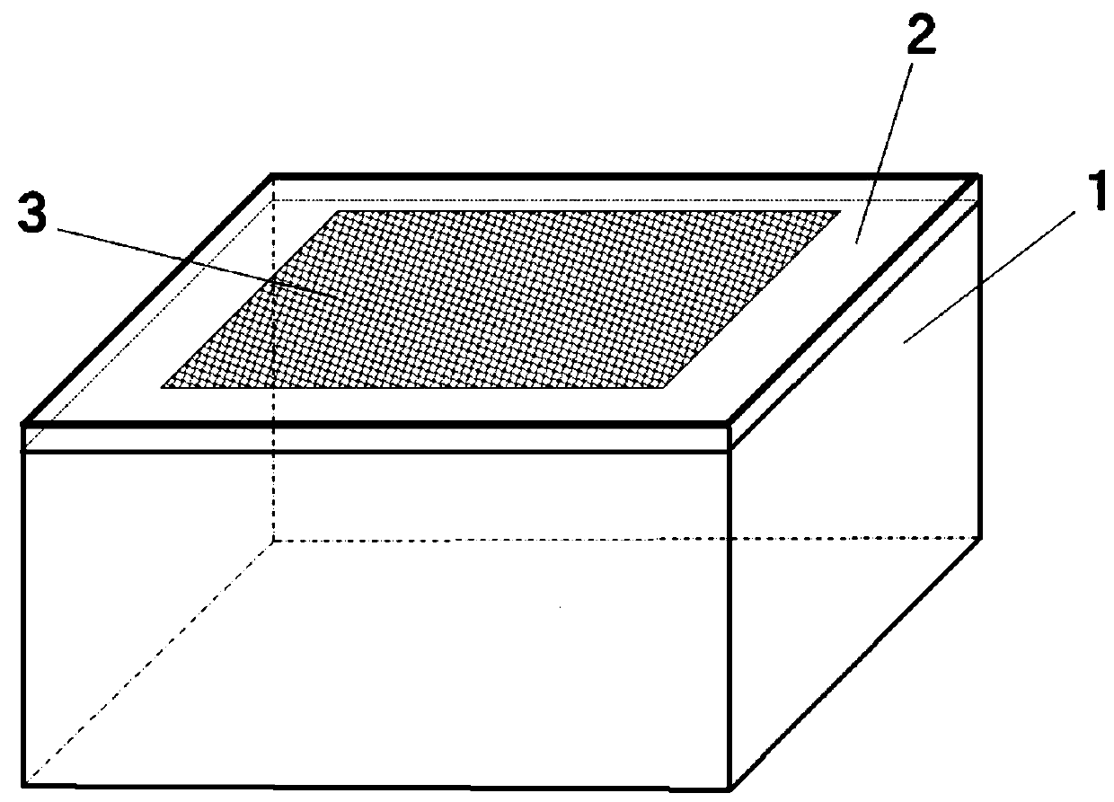 Insect breeding device and breeding method