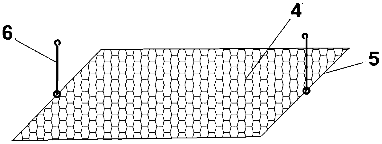 Insect breeding device and breeding method