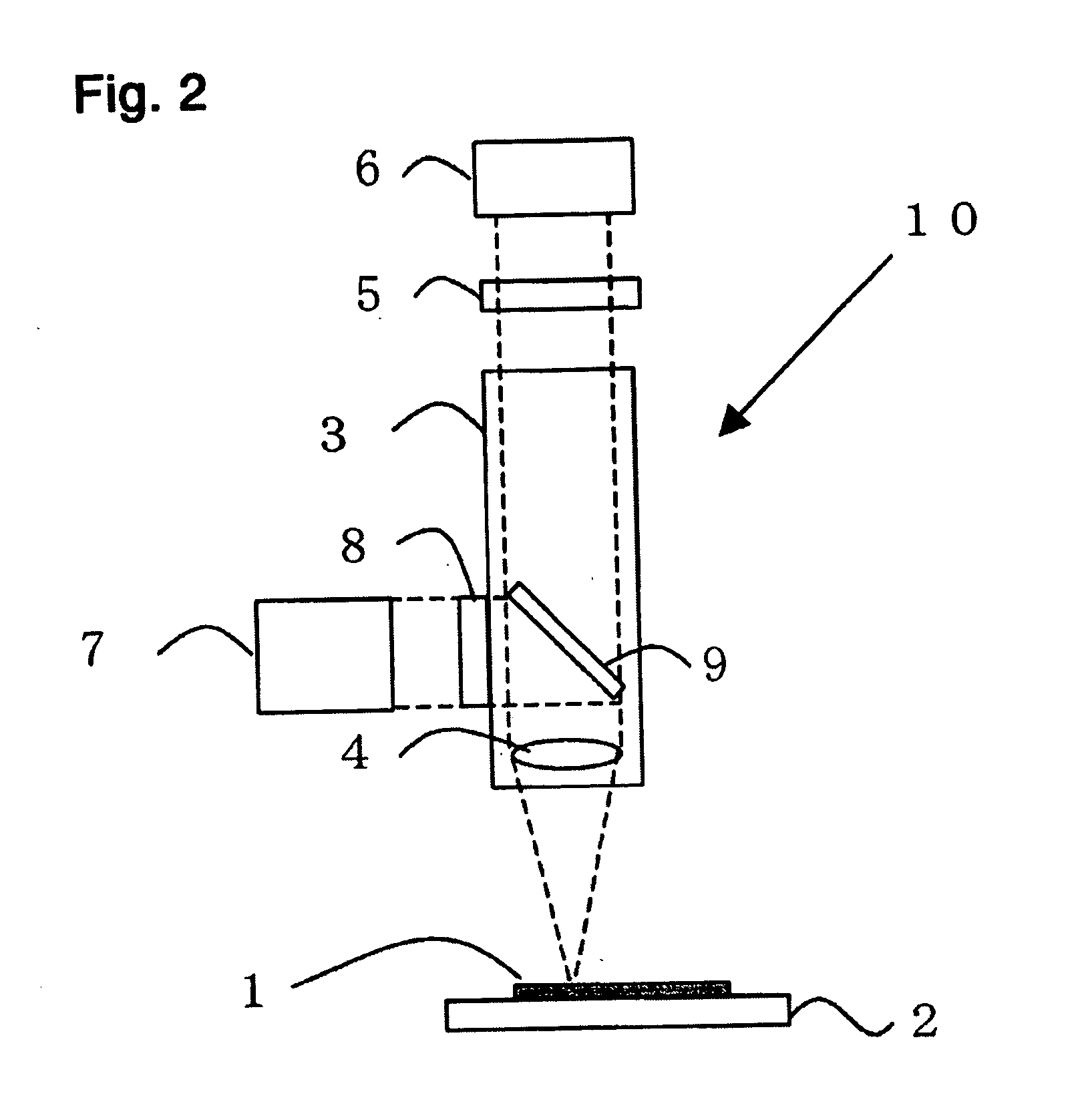 Method of detecting viable cells