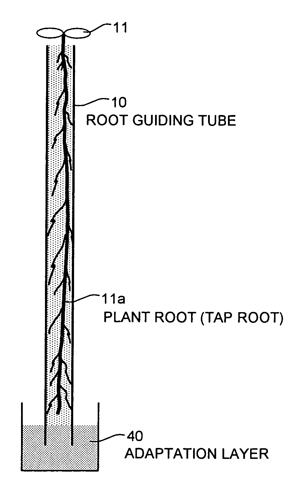 Tool, system, method, and plant for promoting growth of seedling, seedling set for planting, and planting method