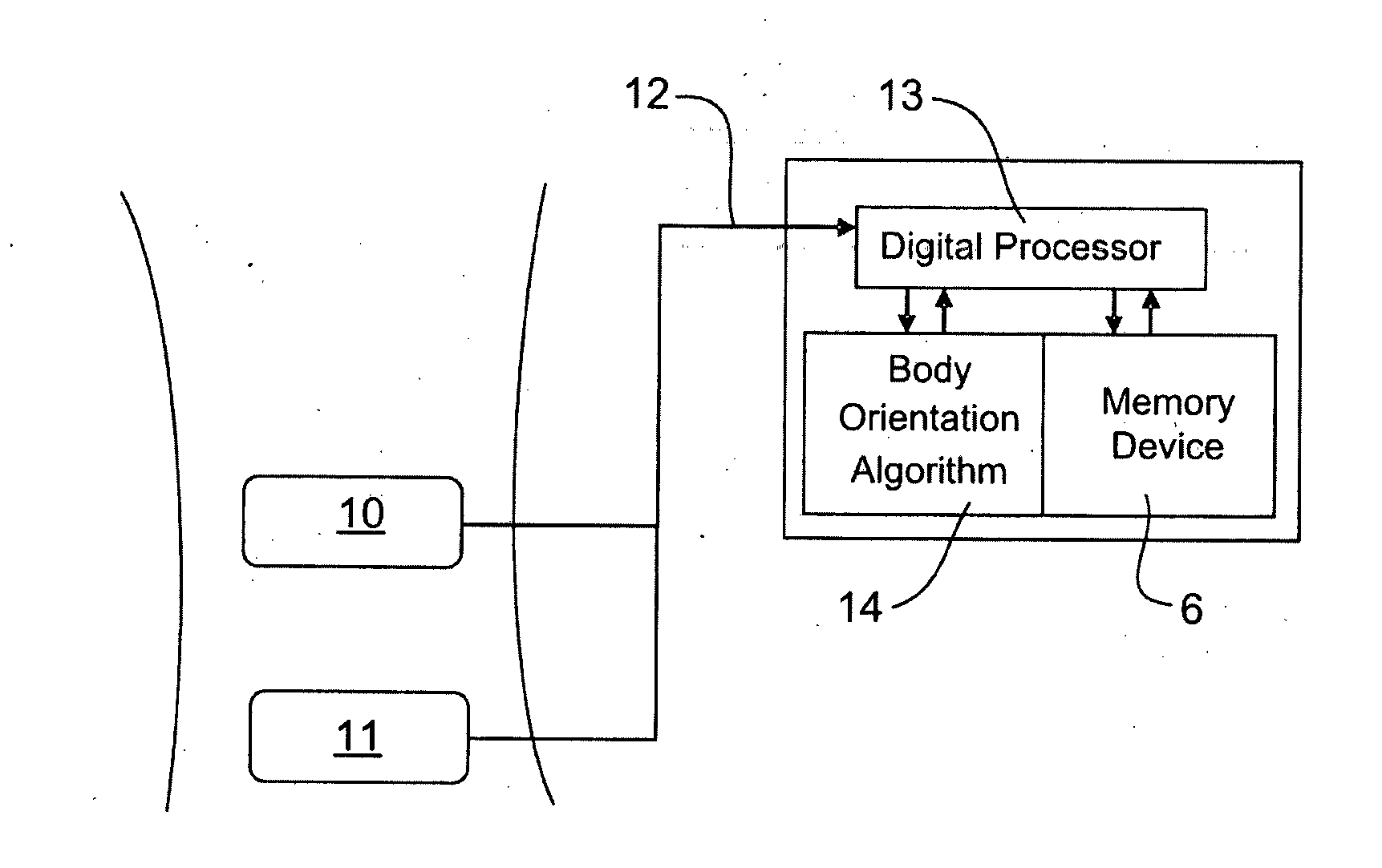 Apparatus and method for classifying orientation of a body of a mammal