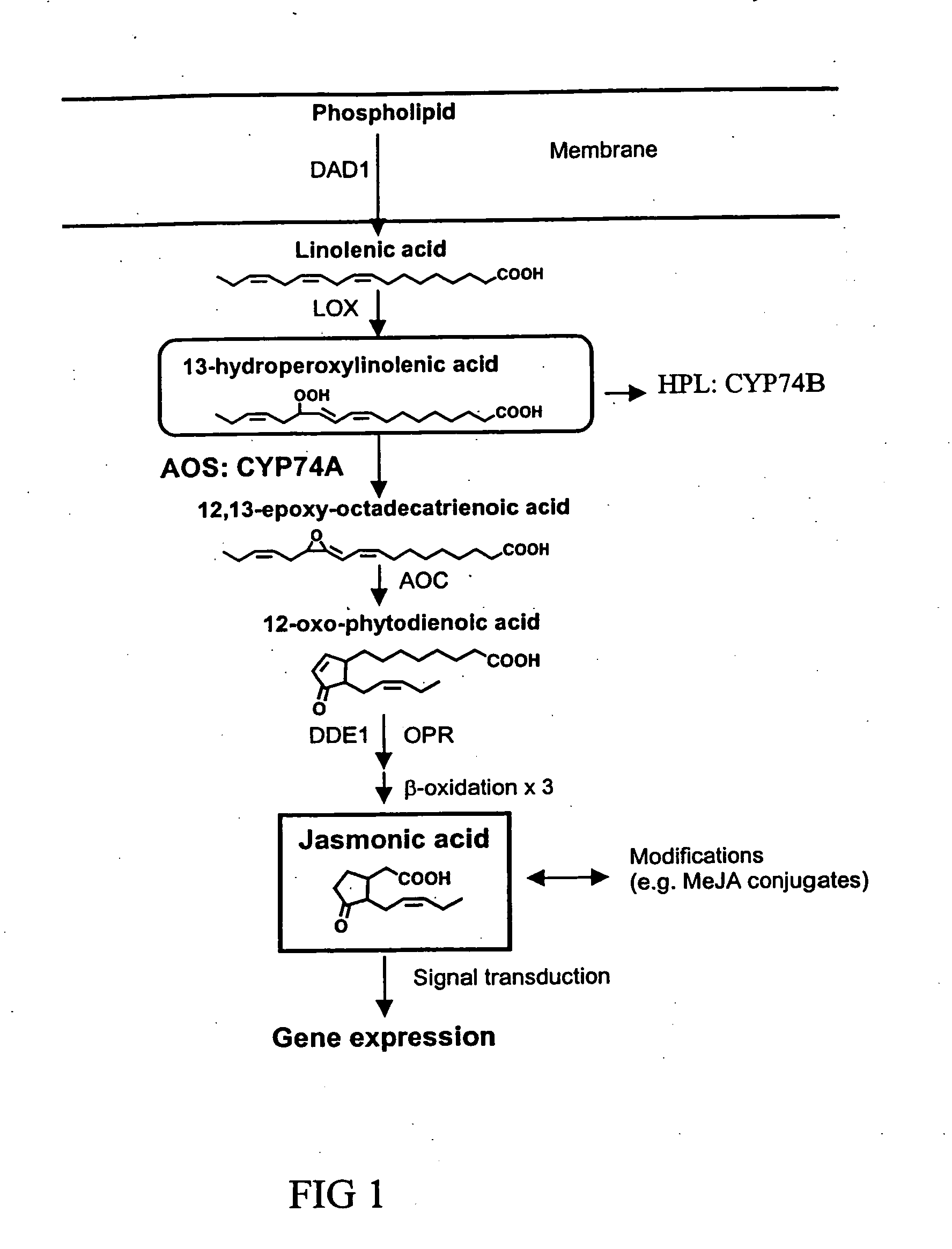 Methods of controlling reproduction in plants