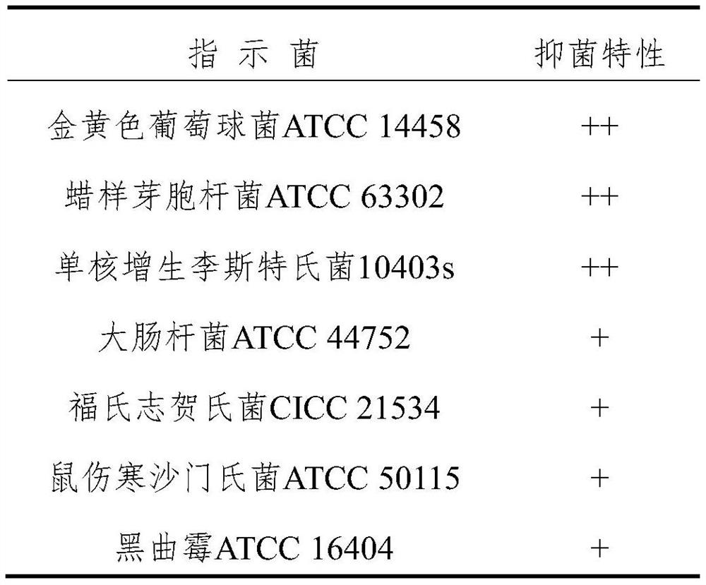 A synergist for promoting the synthesis of antimicrobial peptides from Brevibacillus lateralsporosa and its application