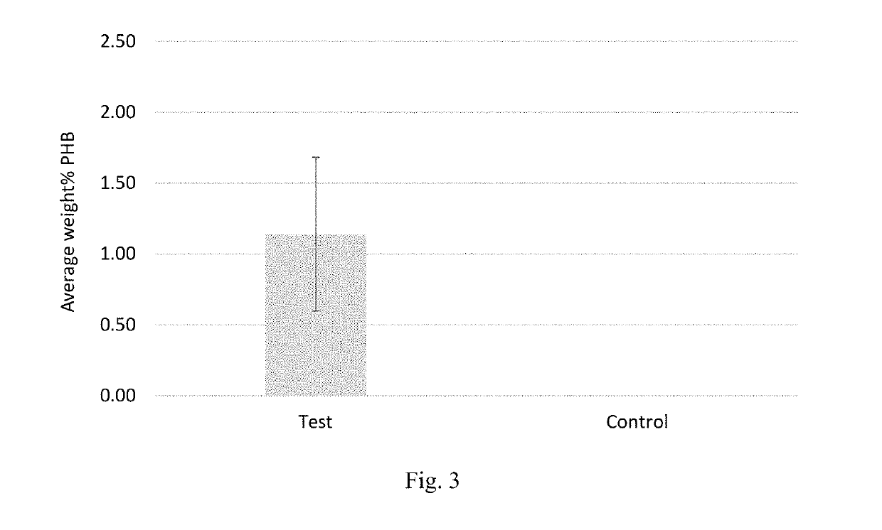 Production of polyhydroxybutyrate in wood-ljungdahl microorganisms