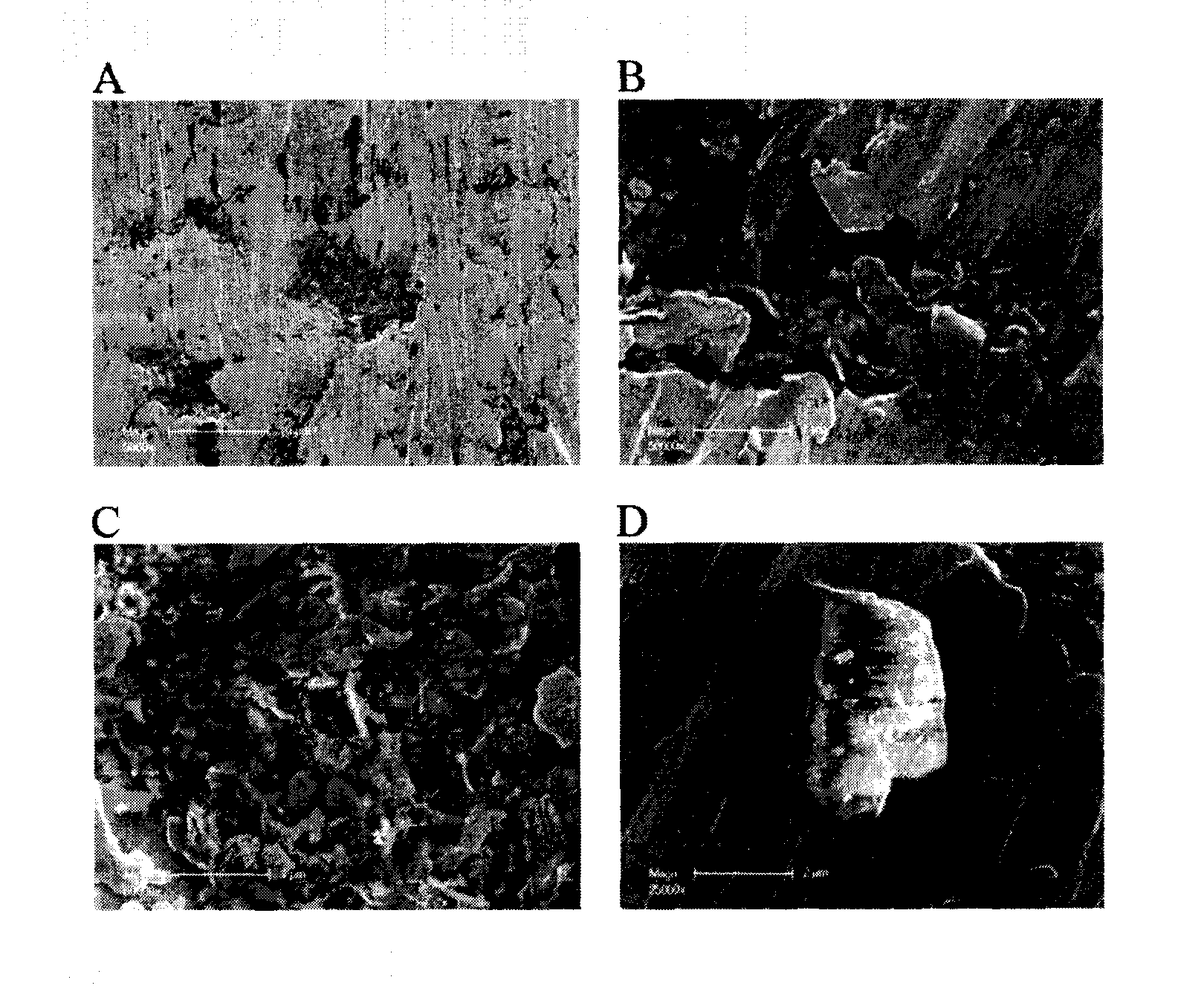 Materials and Methods