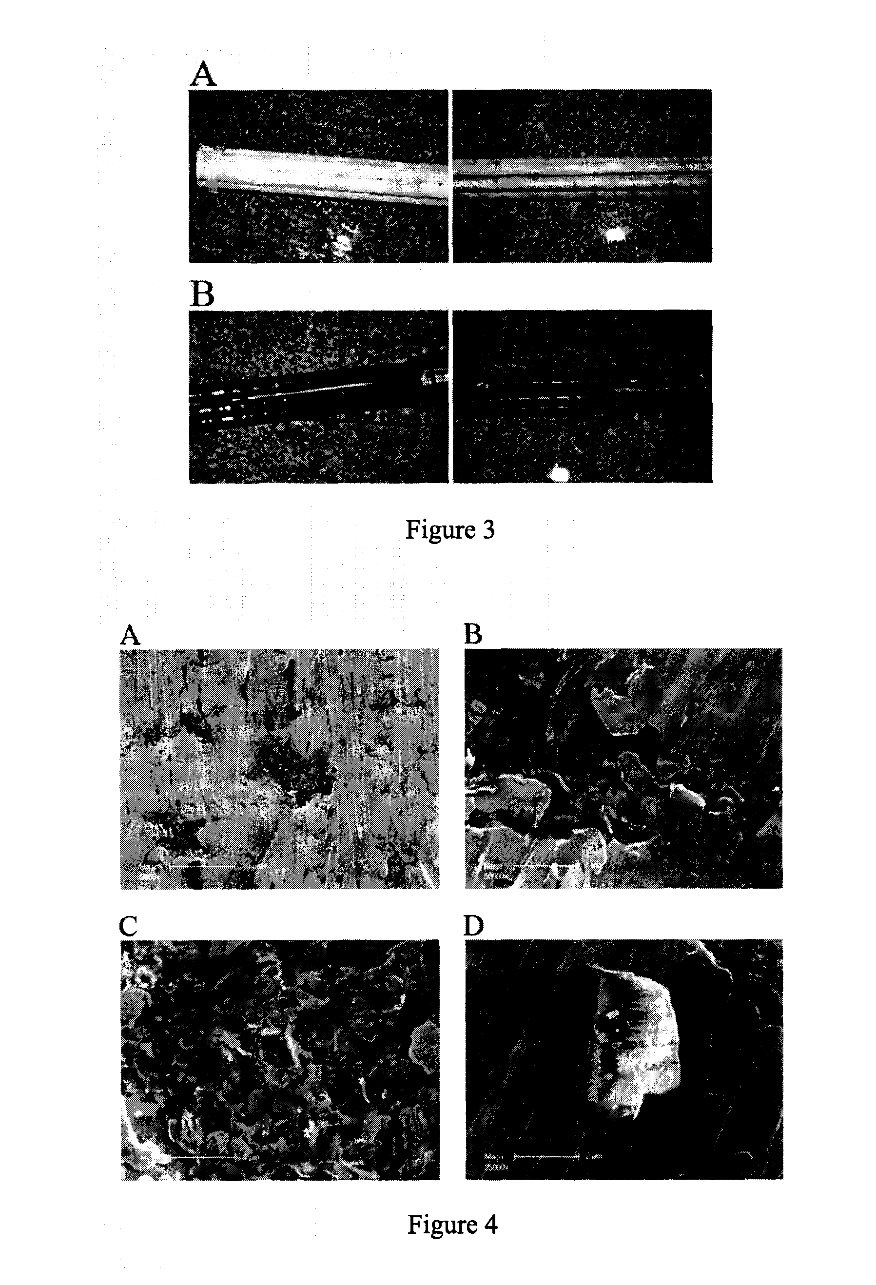 Materials and Methods