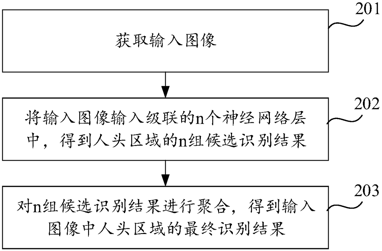 Head area identification method, device and equipment