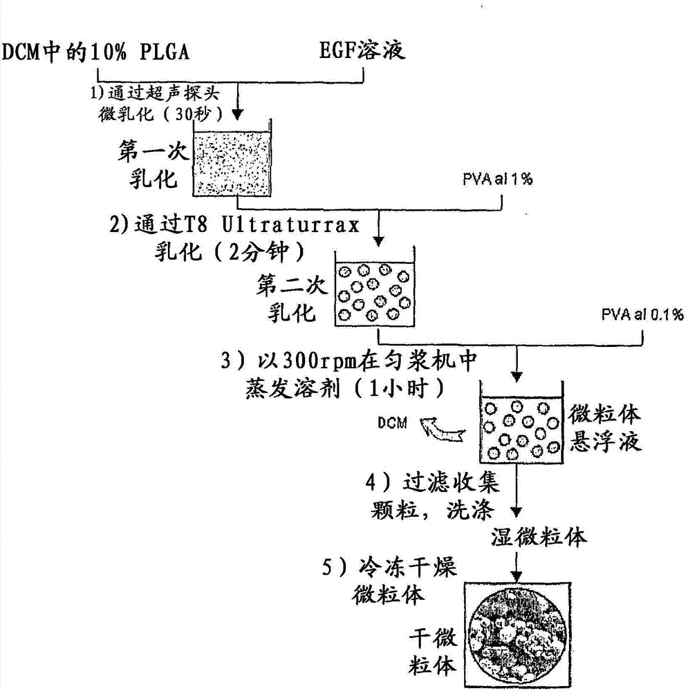 Pharmaceutical composition of microspheres for preventing diabetic foot amputation