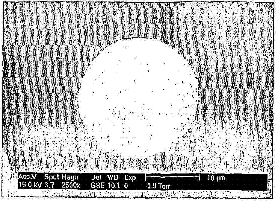 Pharmaceutical composition of microspheres for preventing diabetic foot amputation