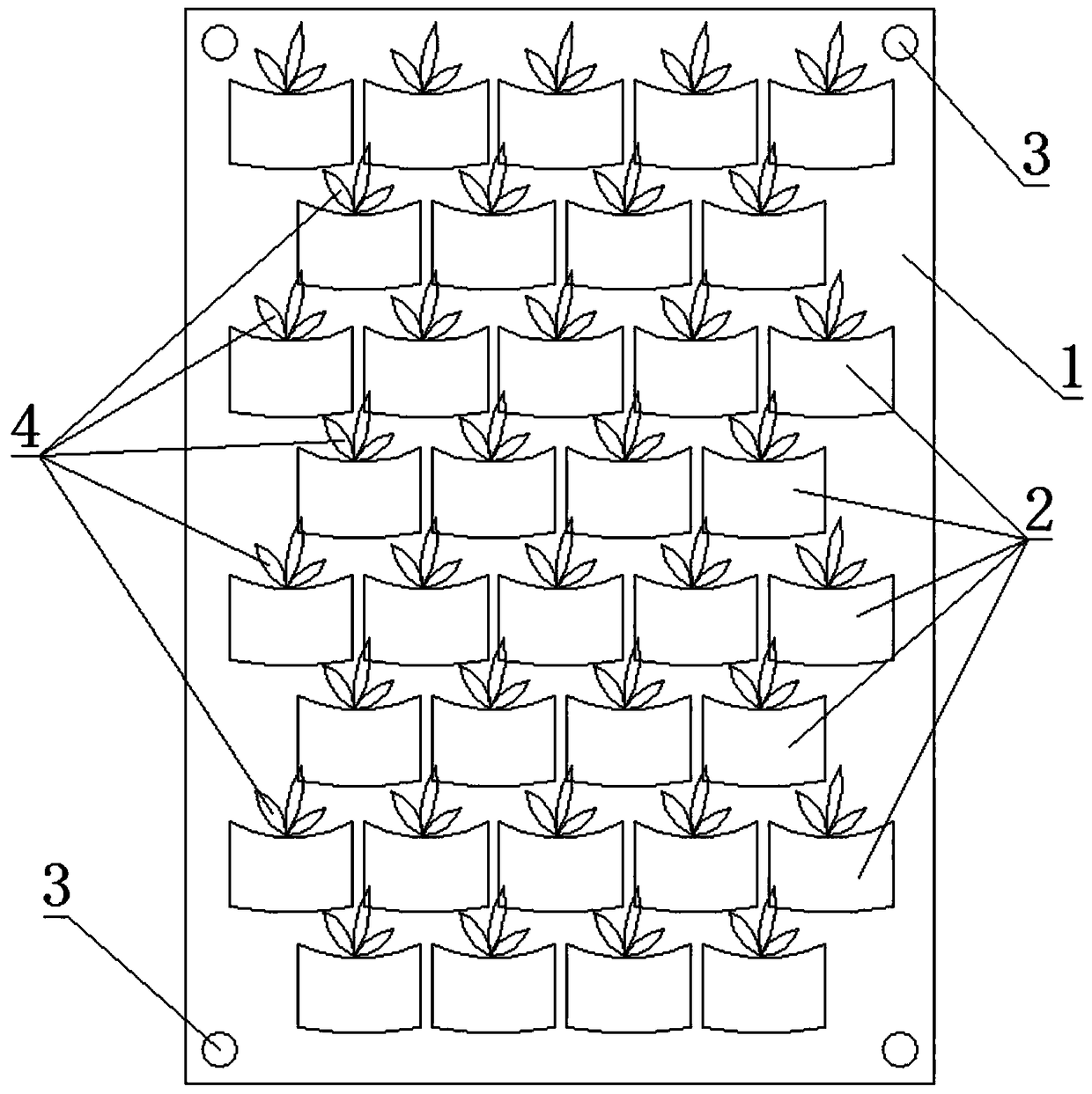 Pocket type protection net and slope protection method