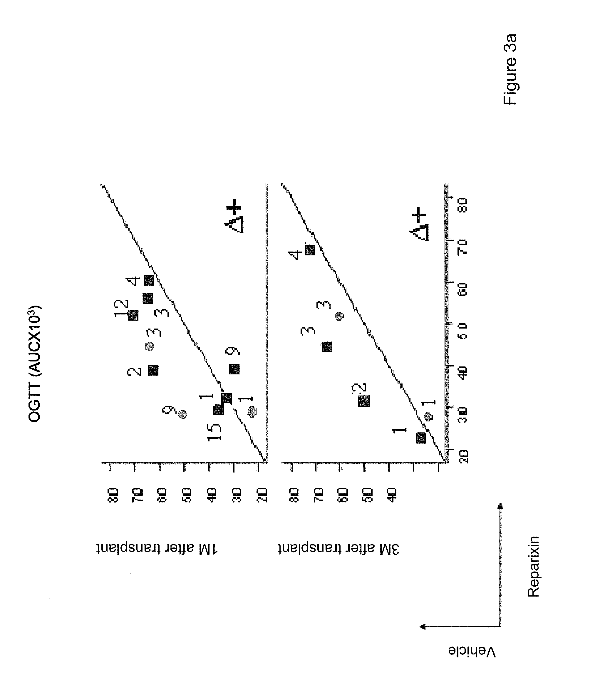 Inhibitors of cxcr1/2 as adjuvants in the transplant of pancreatic islets