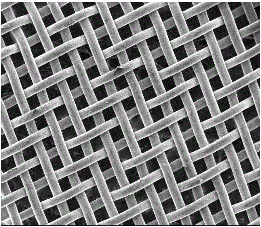 SnS2/TiO2 photocatalyst filter screen and preparation method thereof