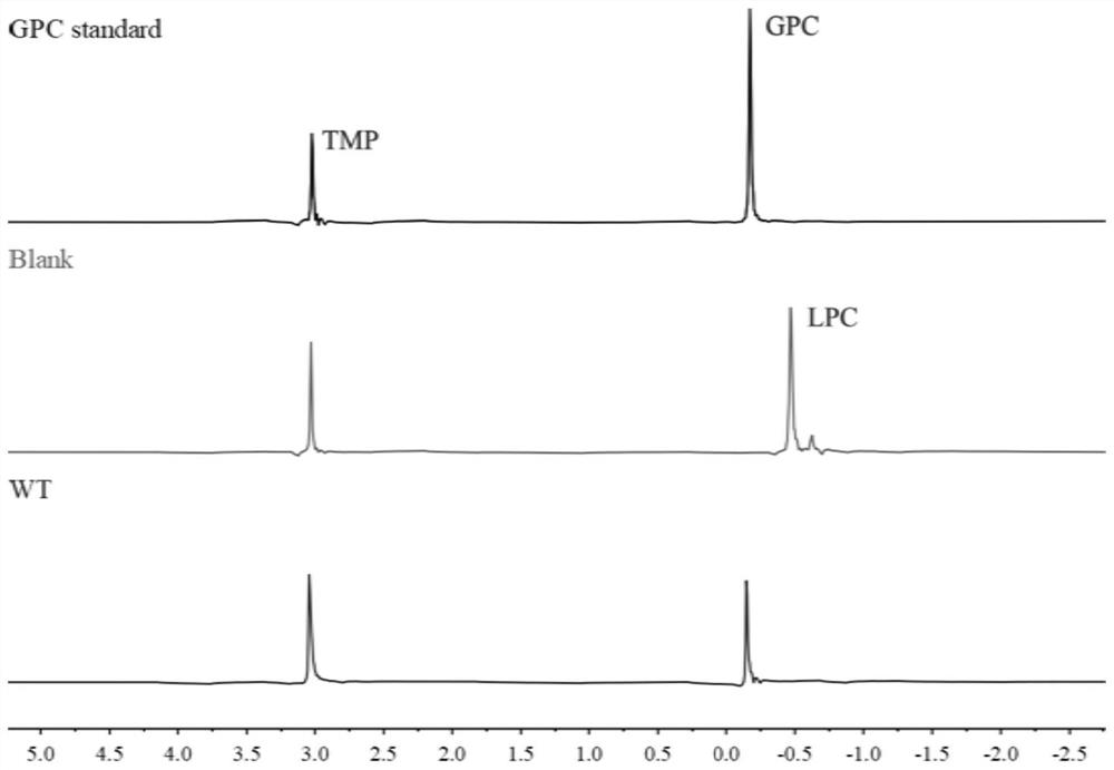 Preparation method of high-purity glycerophosphate diester