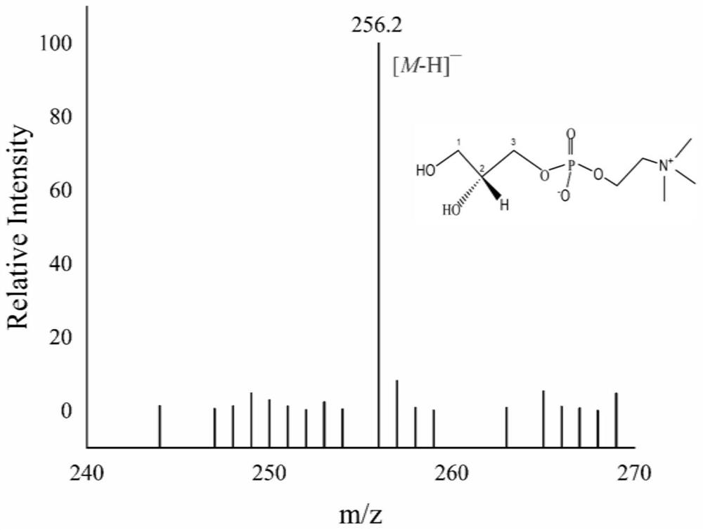 Preparation method of high-purity glycerophosphate diester