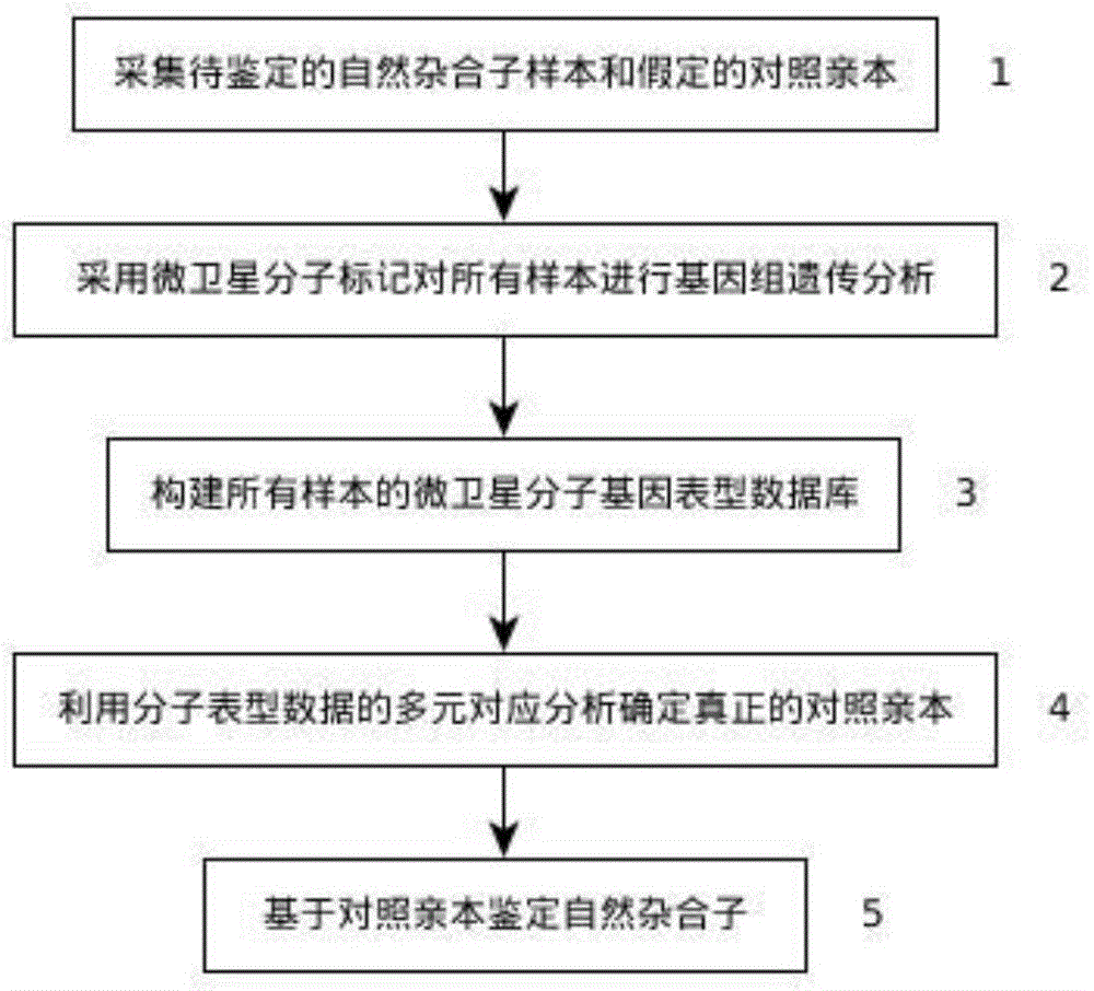 A method for identifying natural heterozygotes in kiwifruit