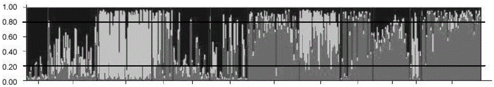 A method for identifying natural heterozygotes in kiwifruit