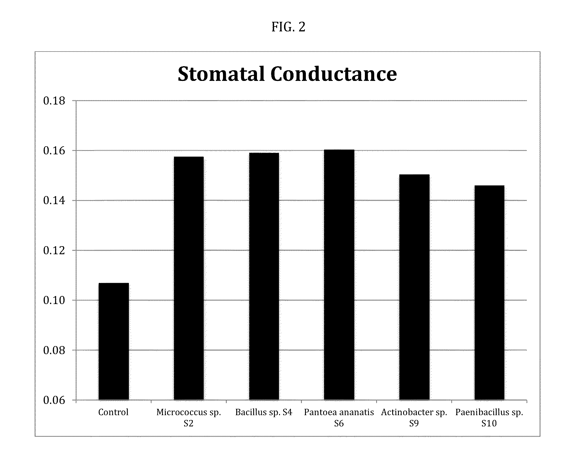 Plant-endophyte combinations and uses therefor